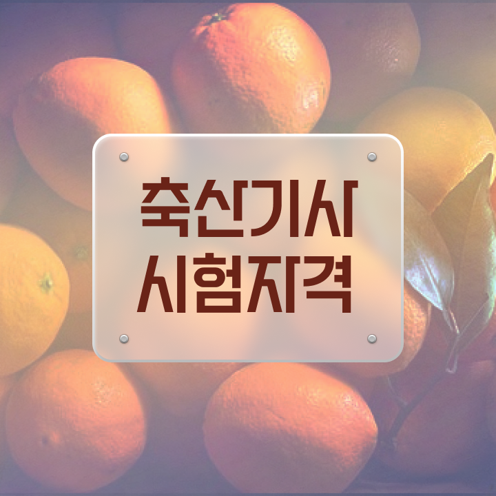  축산기사 관련학과 축산기사 응시조건 인강으로 간편하게 완료한 전략