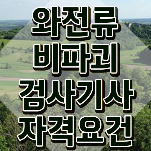  와전류비파괴검사기사 취득자격 집에서 온라인으로 간편하게 준비한 방법