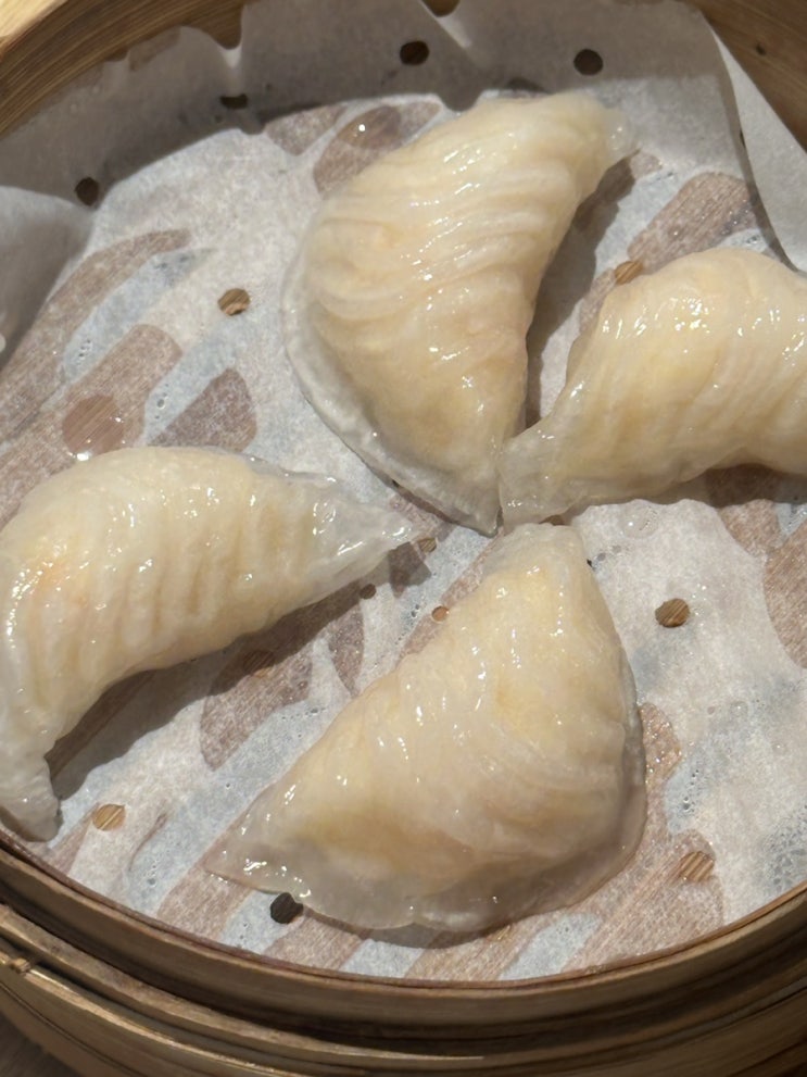  서울 광주 맛집 카페 맛있게 먹은 스페셜포토덤프 15