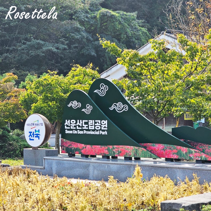  고창 가볼만한곳 선운산 단풍 현황 시기 선운사 마지막 꽃무릇 상사화