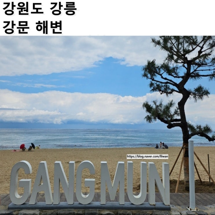  [강원도/강릉] 강문 해수욕장 개장 정보&시간&주차장, 강문해변