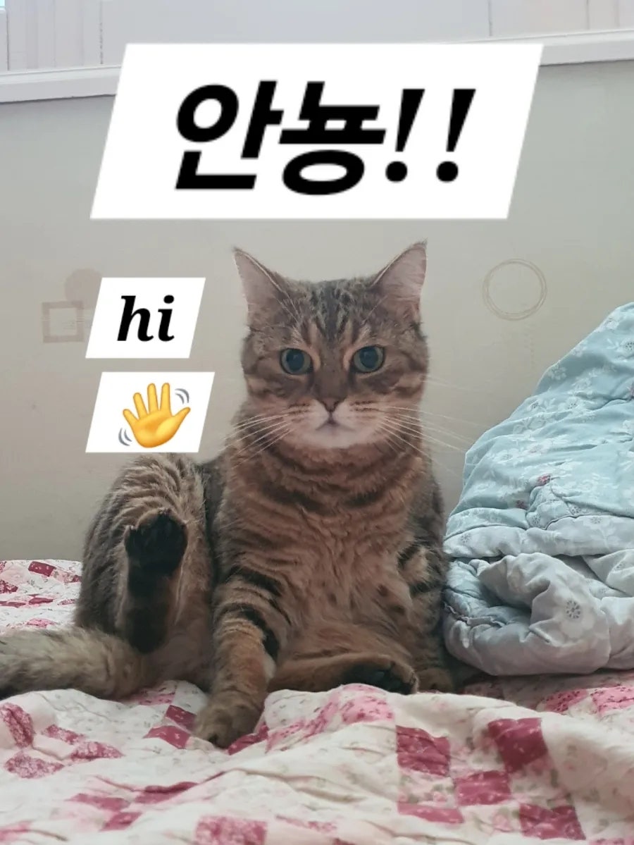 쥴리비스트로 사진 1