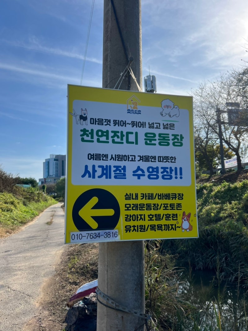 사진 2