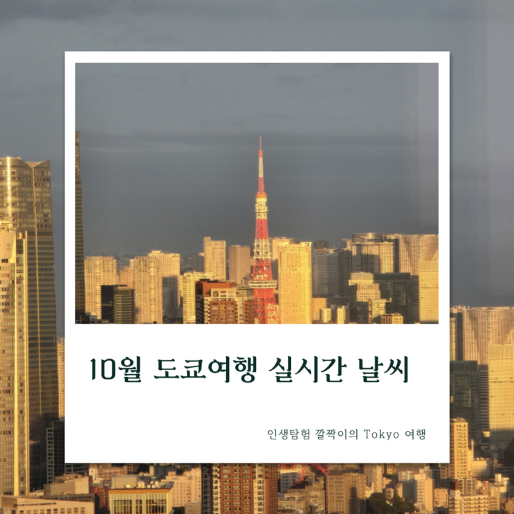  ️ 10월 도쿄여행 실시간 날씨 3박4일 도쿄 가볼만한 곳