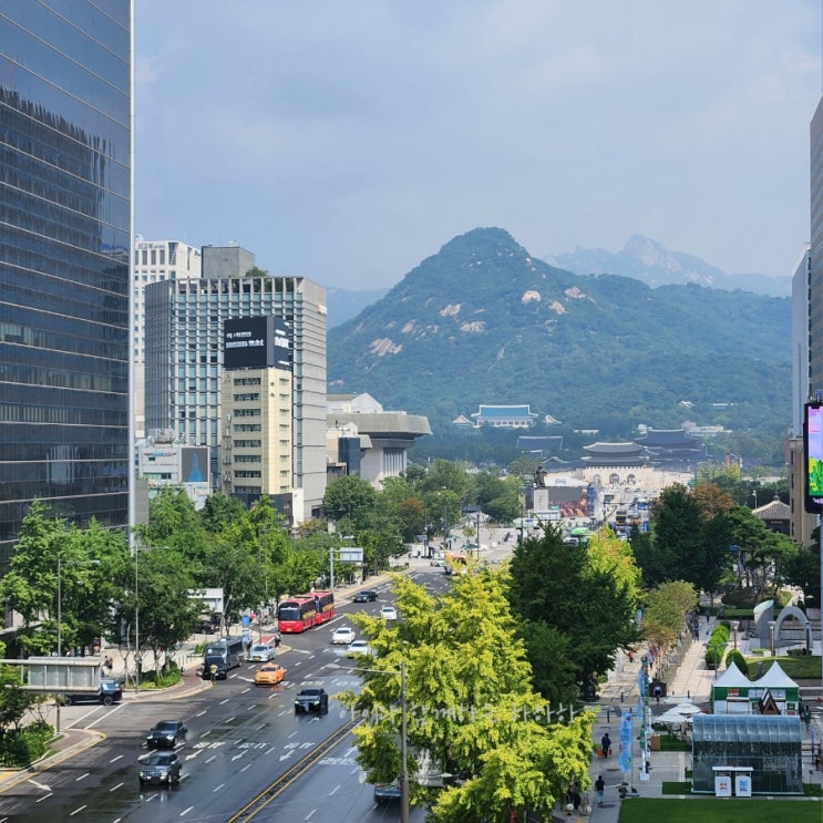  서울도서관 아이와 서울시청 보이는 옥상 전망대 추천해요