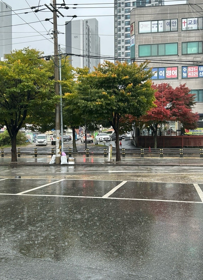 디저트39 증포점 사진 2