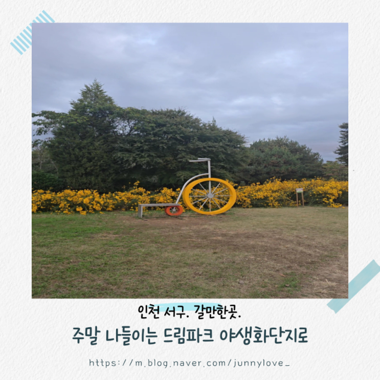  [인천 서구] 쪼쪼와 주말 나들이 드림파크 야생화 단지