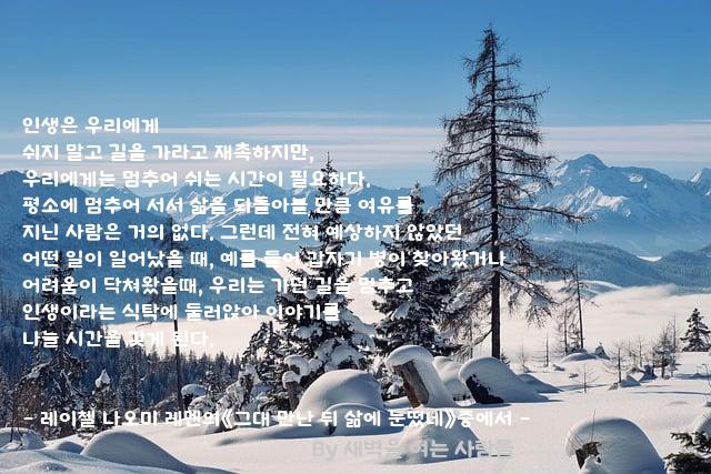 인생 인생