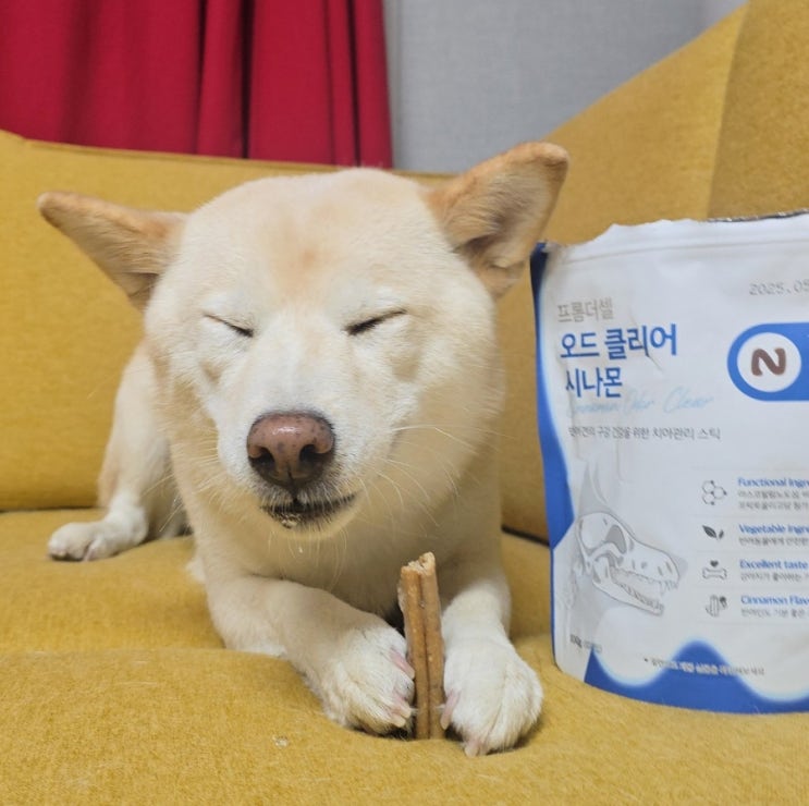  기호성 좋은 덴탈껌 - 프롬더셀 오드 클리어로강아지입냄새제거한 후기