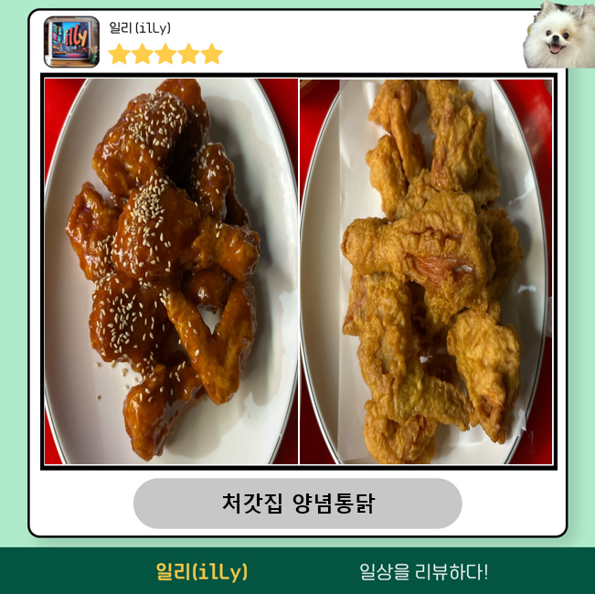 처갓집양념치킨 하안12점 사진 1