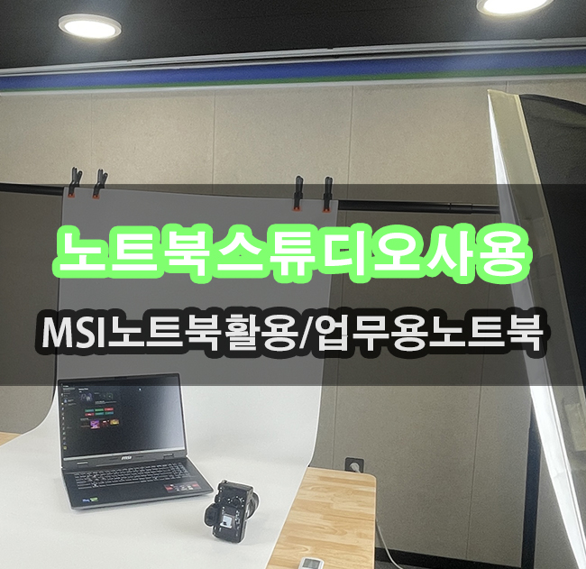  게이밍노트북 MSI 소드 17 HX B14VFKG QHD 스튜디오 활용기