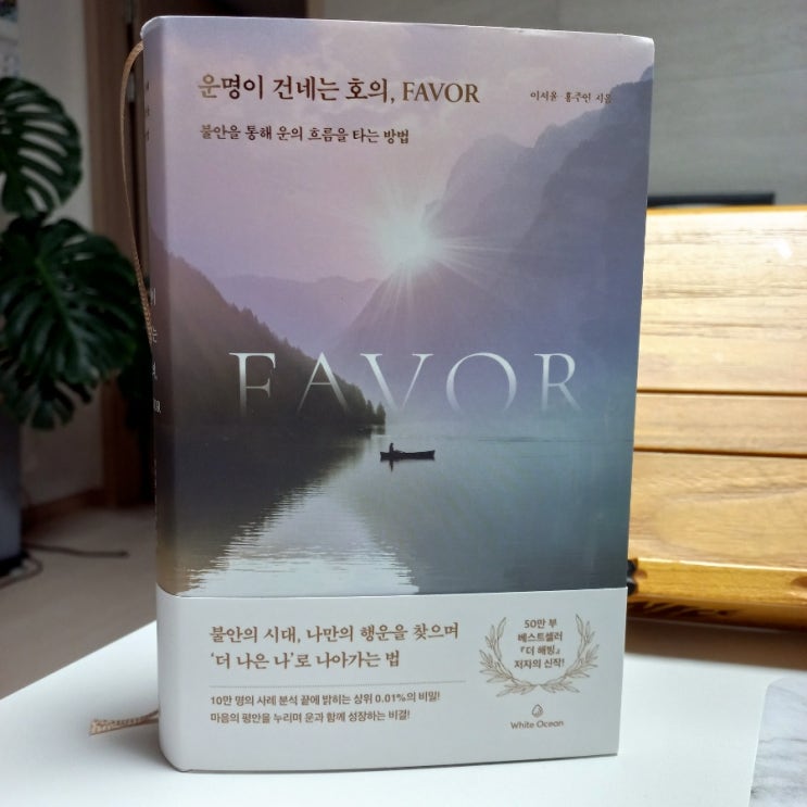  신간 운명이 건네는 호의, FAVOR 불안을 통해 운의 흐름을 타는 방법 <더 해빙>의 이서윤, 홍주연 지음 은총알, 3W1H 메모법, 리프레이밍 뜻
