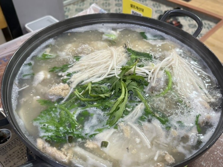  강원도 거진 이모네식당에서 생대구탕 먹은 후기