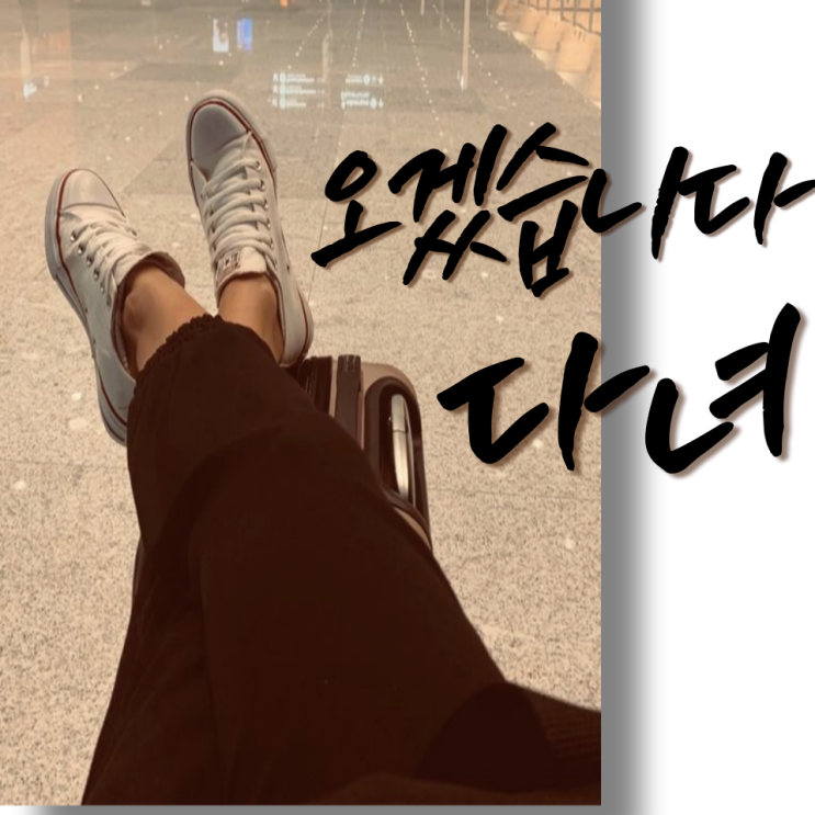  여행가기 말고 한달살기