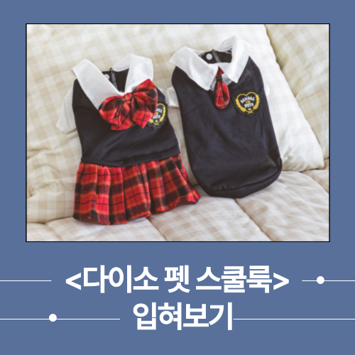  [취향/구입] 가을신상 다이소 펫 스쿨룩 교복 리뷰