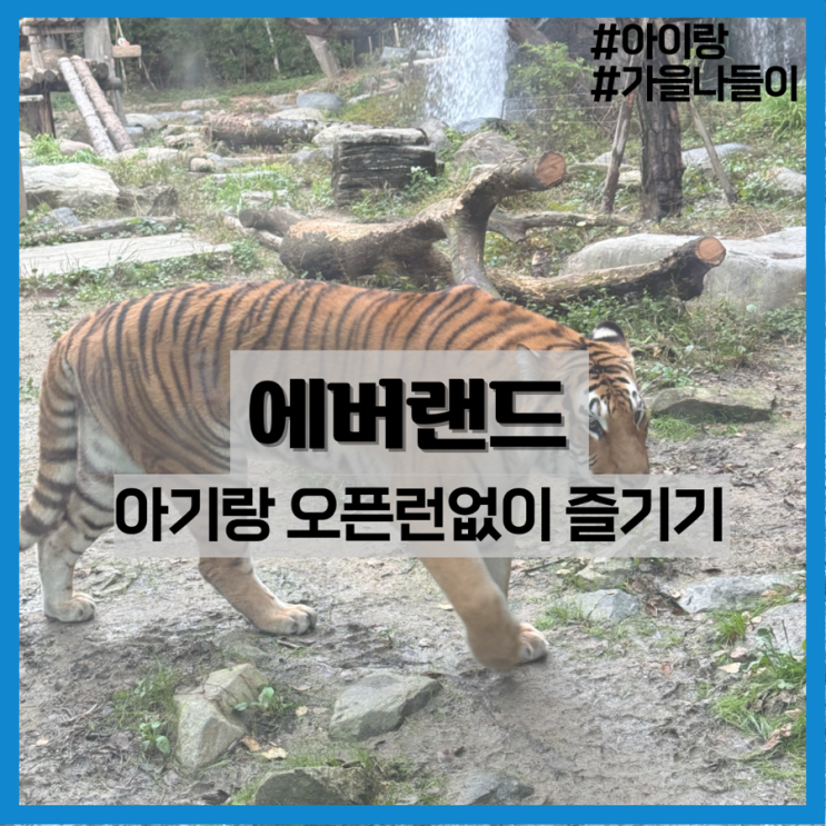  에버랜드 아기랑 코스 추천!/오픈런 안하고 즐기기