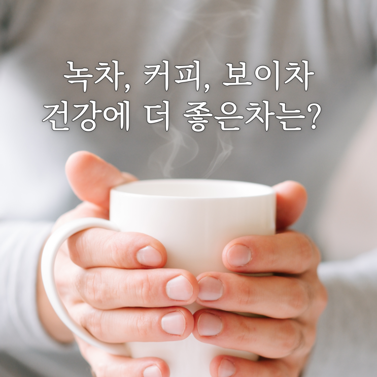  녹차, 커피, 보이차 중 무엇이 더 건강에 좋을까?
