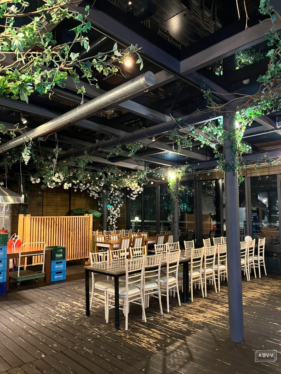 홍끼오 사진 5