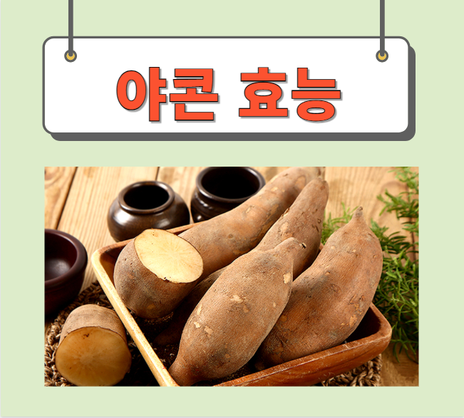  야콘 수확시기 효능 완벽정리