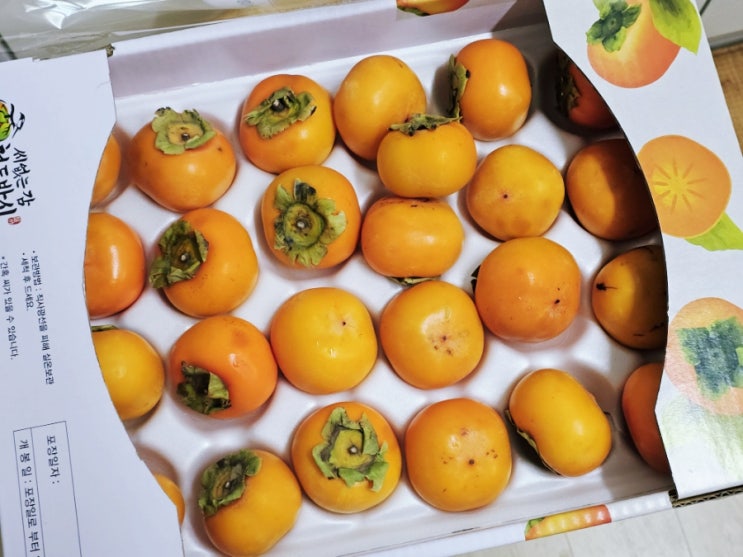  청도반시 후숙 씨없는감 연시 효능 칼로리 알아봐요!