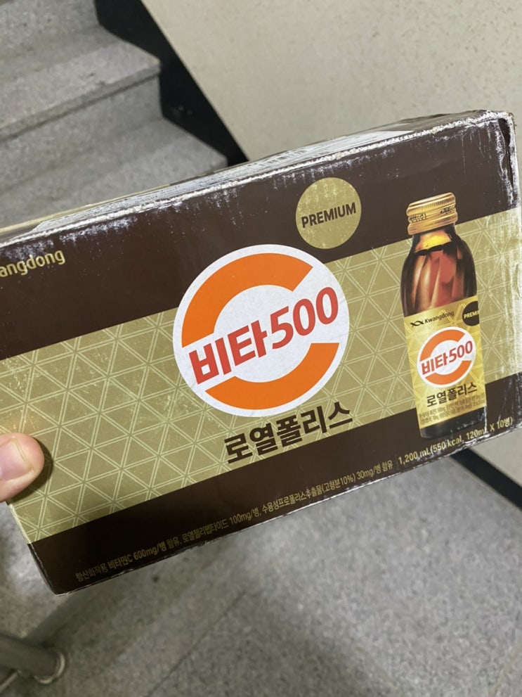  [일상 포토덤프] (7) 도도의 시간은 거꾸로 간다