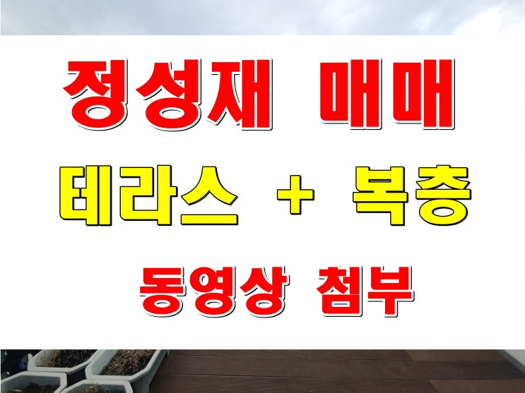  대연동 아파트 매매 정성재 테라스 복층 타입 공원 조망 펜트하우스