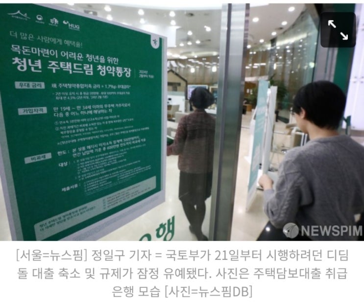 '디딤돌 <b>대출</b>'<b>규제 논란</b>