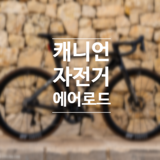 캐니언 자전거 에어로드 CFR 레이싱 내구성