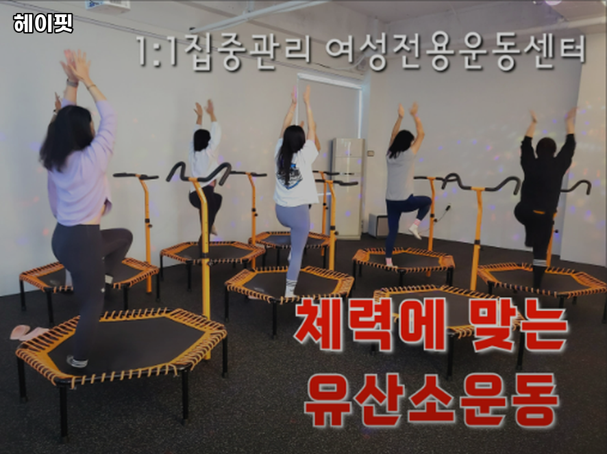 헤이핏 사진 4