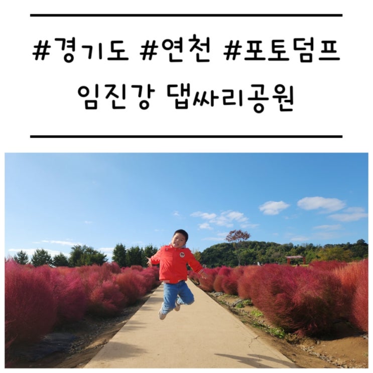  [블챌/포토덤프] '임진강 댑싸리공원' 포토존이 가득한 가을에 갈만한 곳 추천