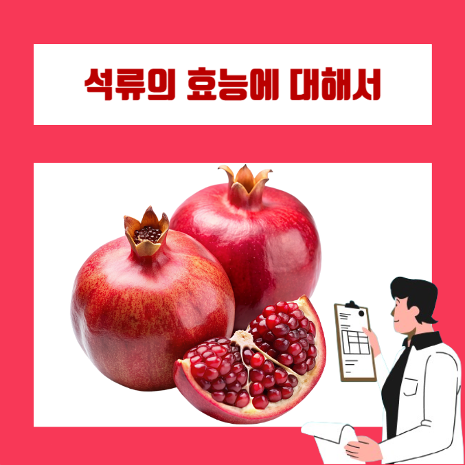 콜라겐에 효과가 있는 석류의 효능과 제철 및 영양성분 (당뇨, 임산부)
