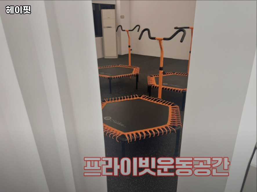 헤이핏 사진 2
