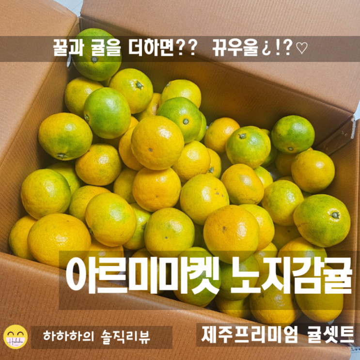  제주감귤 농장에서 막 딴 노지감귤 5kg 뜻과 보관법