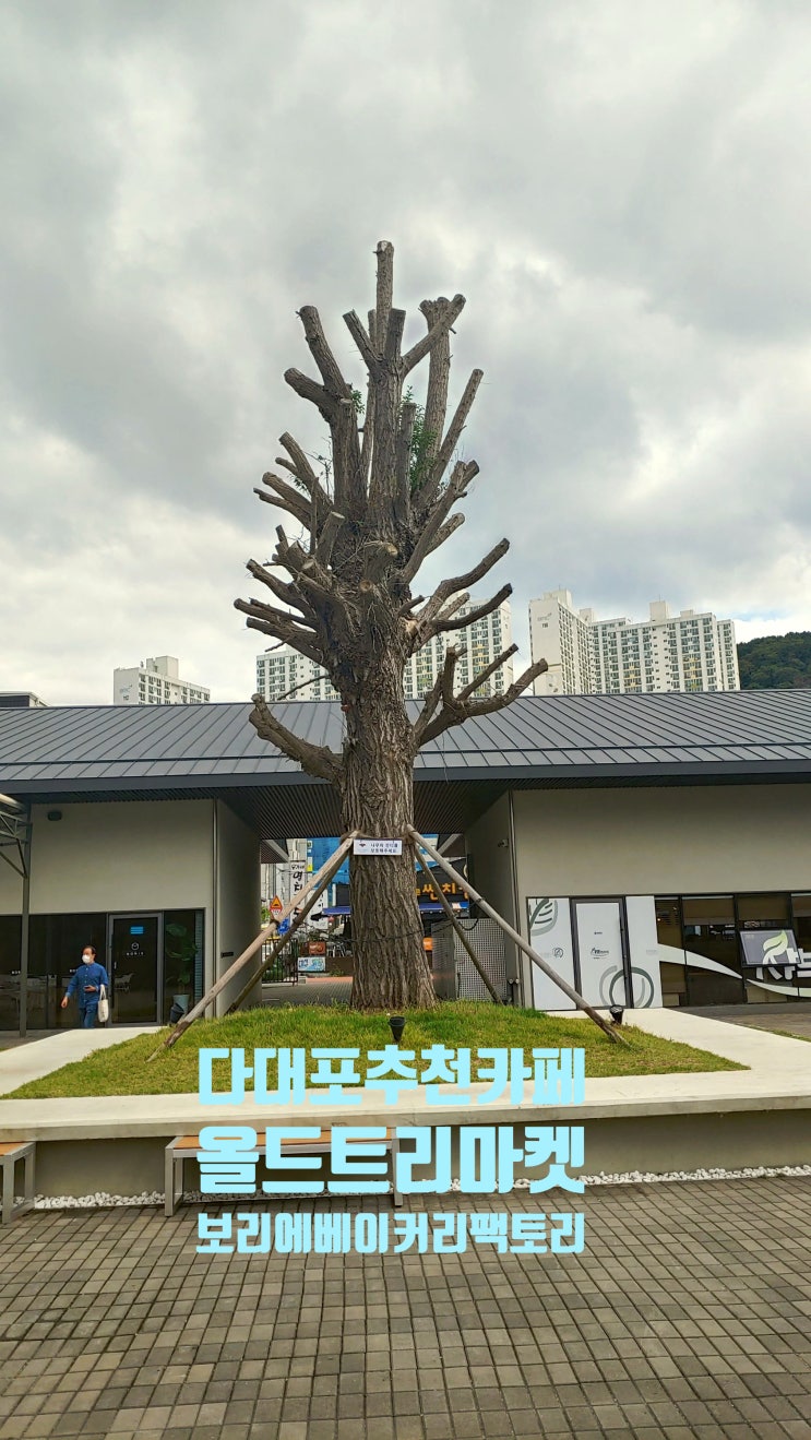  [다대포 카페 맛집 추천]다대포 복합문화공간 '올드트리마켓' 넓은주차장베이커리,좋은재료, 명장의 기술이 스며있는 보리에 베이커리 팩토리 [내돈내산]