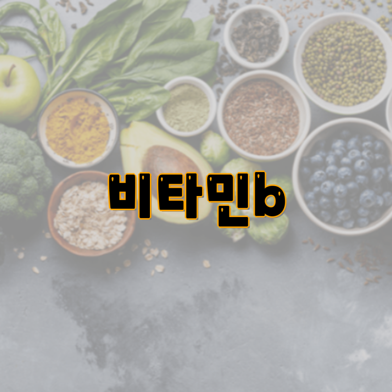 종근당 활력 비타민B 플러스 60정 1개 2개 3개 및 솔가 B컴플렉스 100 250정 뉴트리디데이 프리미....