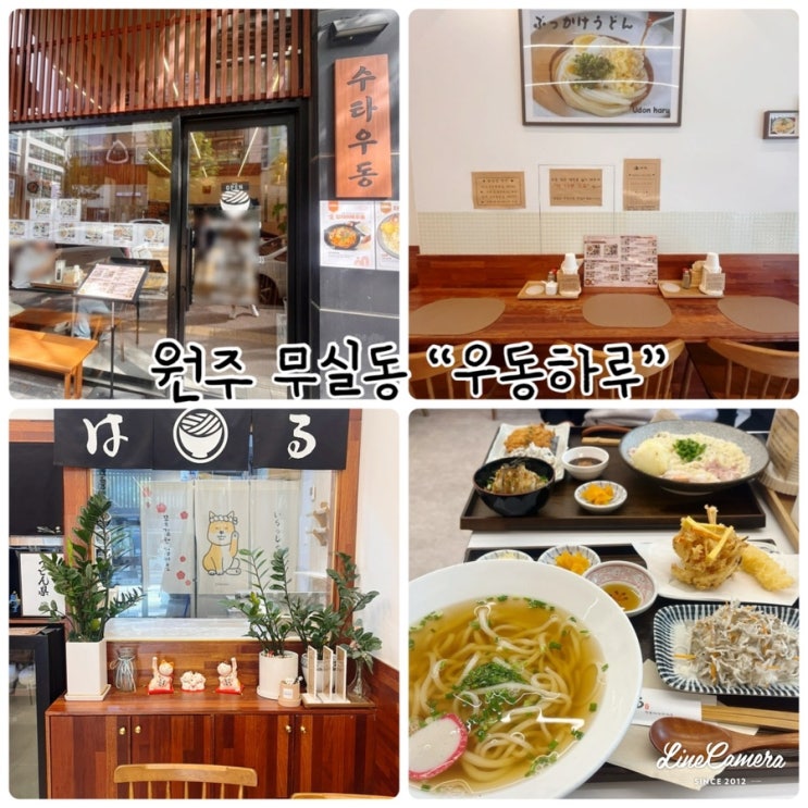  "우동하루" 원주맛집으로 원주데이트하기좋은 우동집