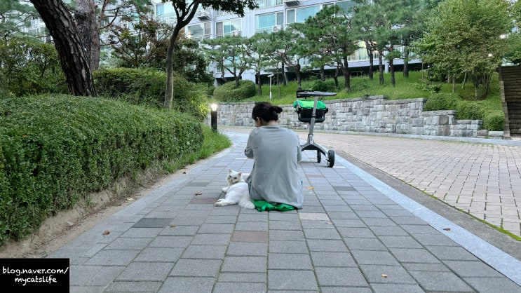  존재만으로