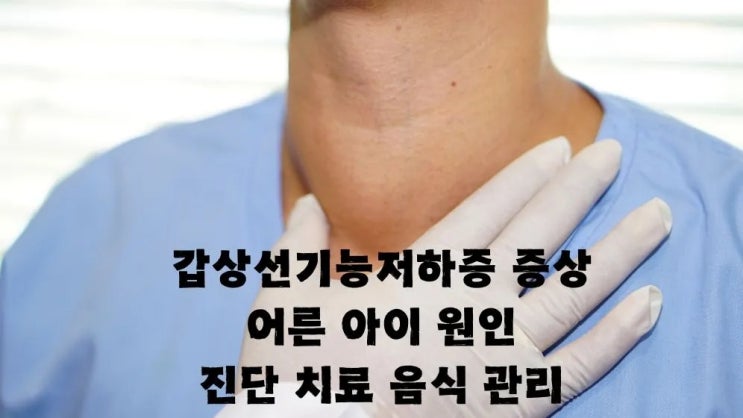  갑상선기능저하증 증상 어른 아이 원인 검사 치료 음식 관리