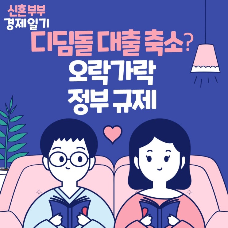  반발에 유보 된 디딤돌 대출 축소