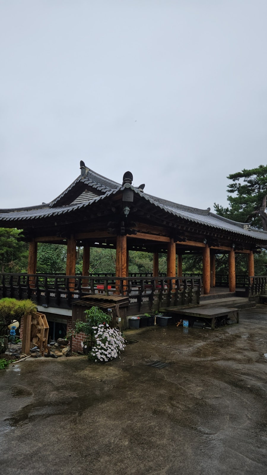 산장토박이 사진 3