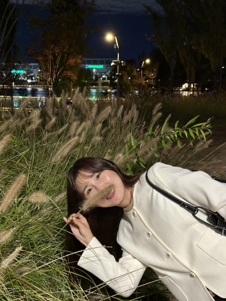 가을이와요 단풍이야