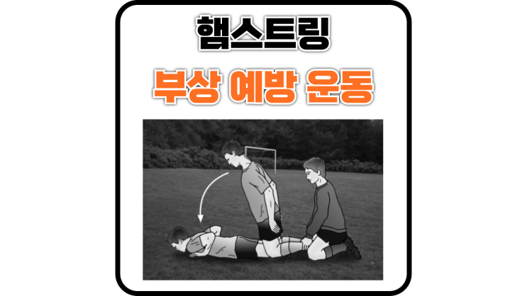  햄스트링 부상 예방 운동(노르딕 햄스트링, HNE)