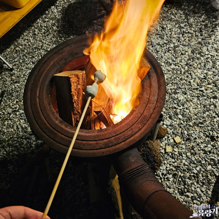  먹는것에 진심인 자들의 캠핑 일상