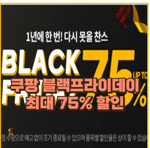  놓치면 후회 24년 블랙프라이데이 광군제 쿠팡 알리익스프레스 득템 가이드