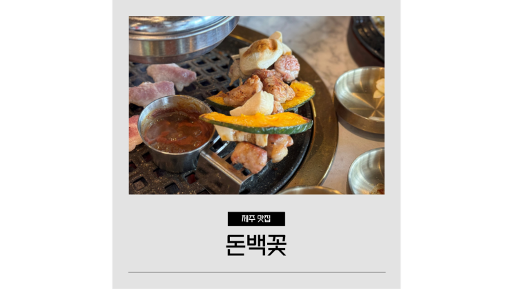 제주시 로컬맛집 돈백꽃 도두동 무지개해안도로 오션뷰 흑돼지 제주시 로컬맛집 돈백꽃 도두동 무지개해안도로 오션뷰 흑돼지