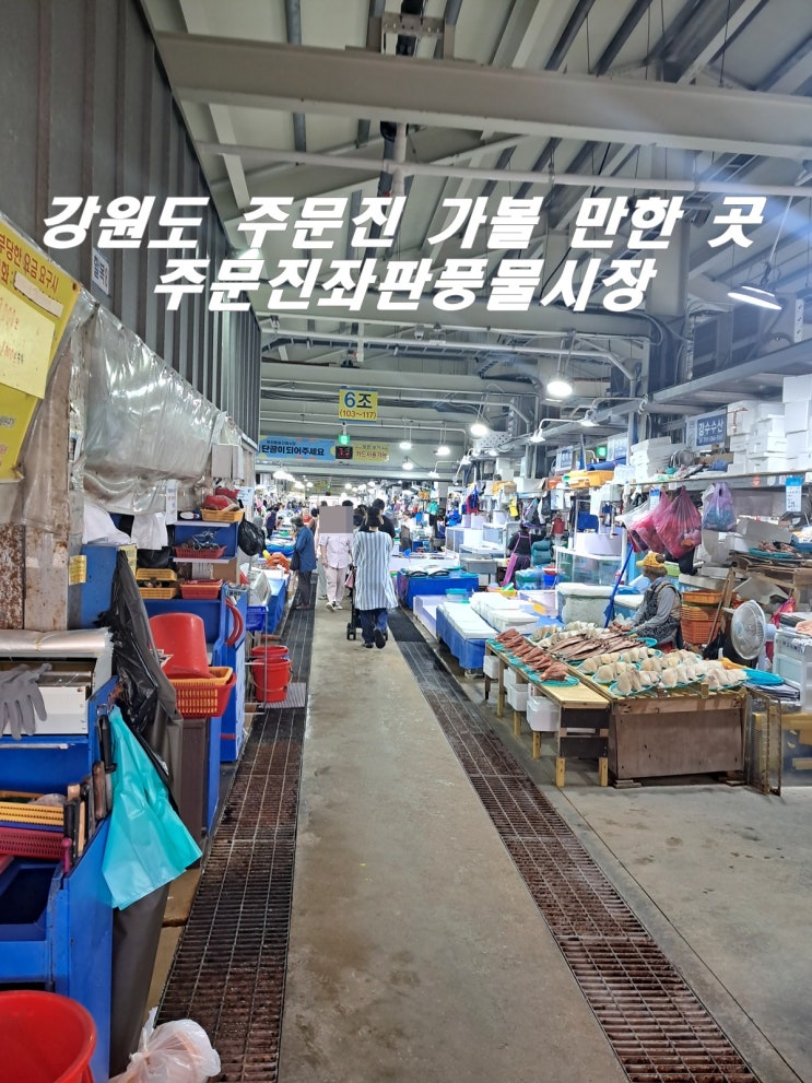  바다 내음 가득한 주문진 좌판 풍물시장 탐방 먹거리 투어 특별 꿀팁