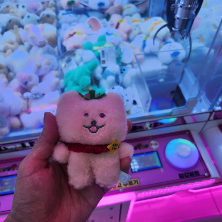  고수가될거얏 인뽑중독일상