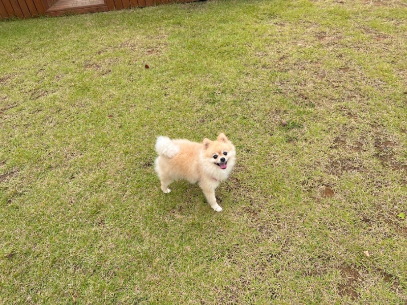 사진 3
