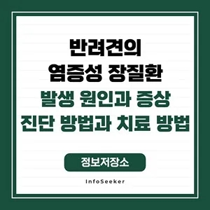  반려견의 염증성 장질환의 발생 원인과 영향, 진단 방법과 관리 방법