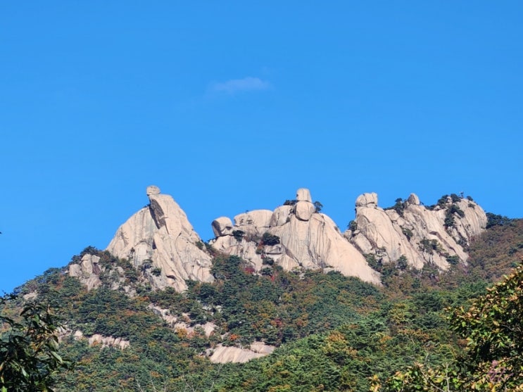  예약 필수인 북한산 둘레길 21구간 우이령길 예약 및 트레킹 후기